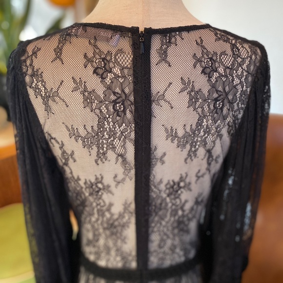 Alice McCall black lace dress, sheer w/ tassels | Victorian, Gothic, Witchy Sz 4 - Picture 10 of 11